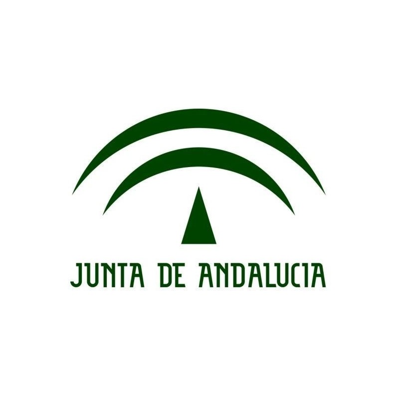 A1.2019 Temario Informática. Junta de Andalucía