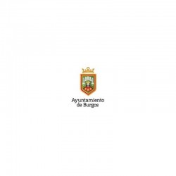 Temario Técnico de la Administración General. Ayuntamiento de Burgos