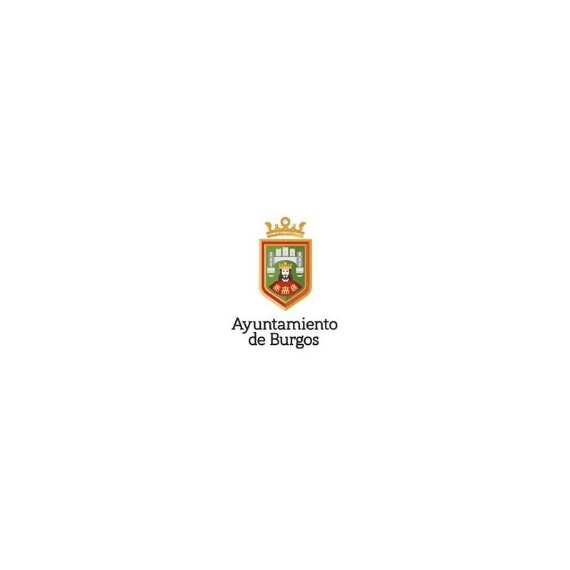 Temario Técnico de la Administración General. Ayuntamiento de Burgos