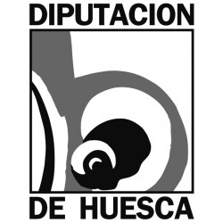 Temario Oficial Conductor / Vigilante de Obras. Diputación Provincial de Huesca