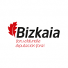 Temario Administrativo. Diputación Foral de Bizkaia