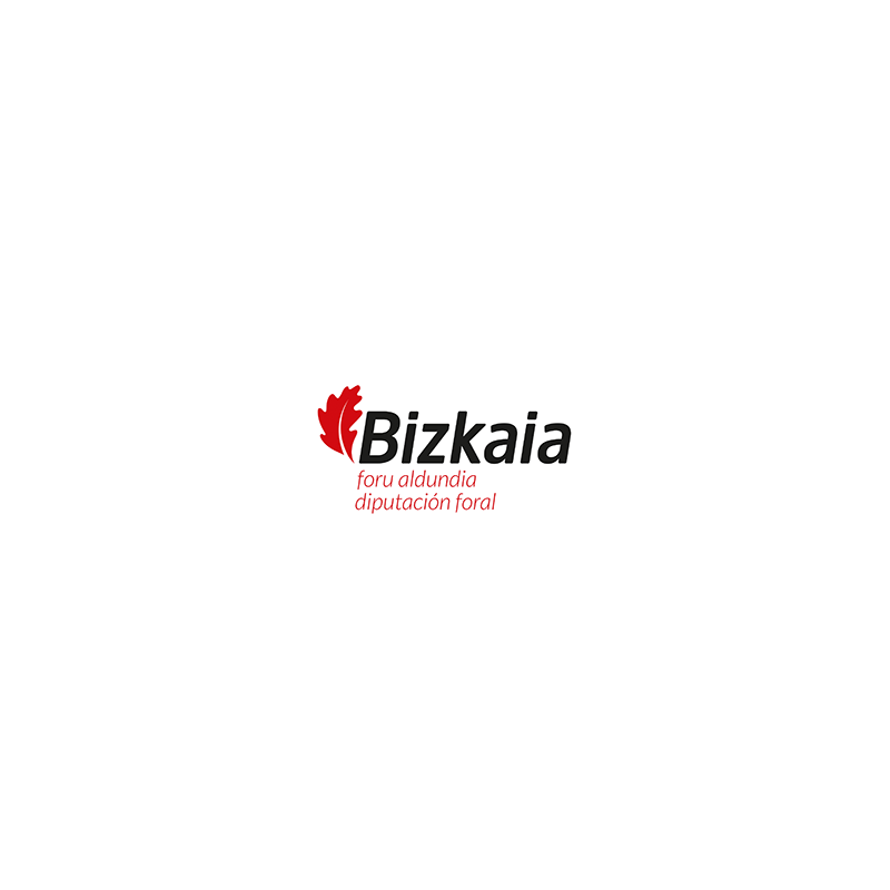 Temario Economista. Diputación Foral de Bizkaia