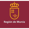 Temario Analista de Aplicaciones. Región de Murcia