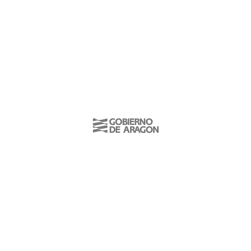 Temario Logopedia. Gobierno de Aragón