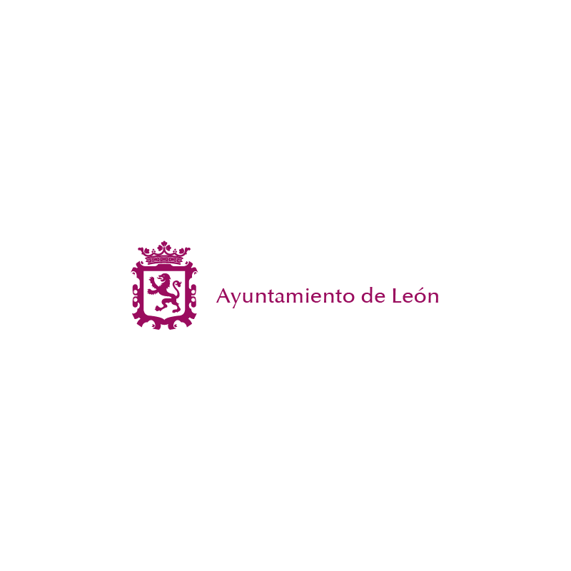 Técnico Superior de Informática. Ayuntamiento de León
