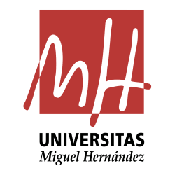 Técnico de Gestión. Universidad Miguel Hernández Elche