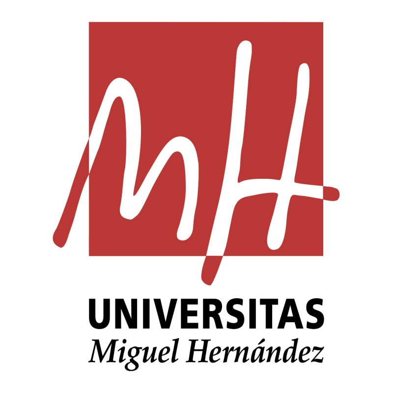 Técnico de Gestión. Universidad Miguel Hernández Elche