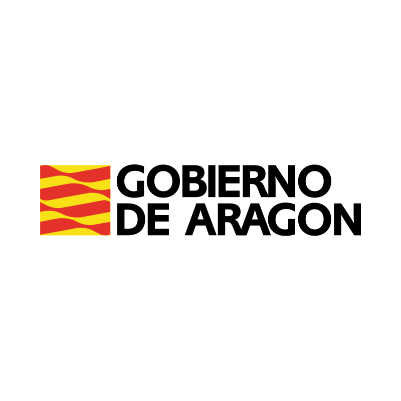 Técnico Especialista de Sistemas y Tecnologías de la Información. Gobierno de Aragón