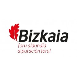 Temario Administrativos. Diputación Foral de Bizkaia