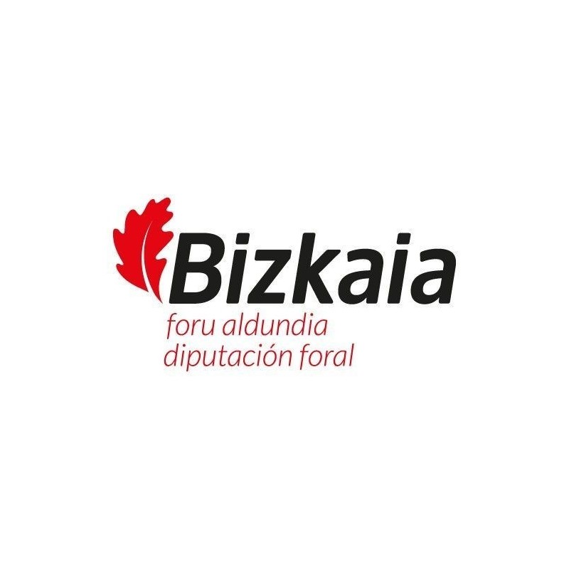 Temario Administrativos. Diputación Foral de Bizkaia