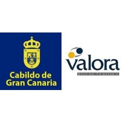 Temario Auxiliar Administrativo. Cabildo Gran Canaria (VALORA)