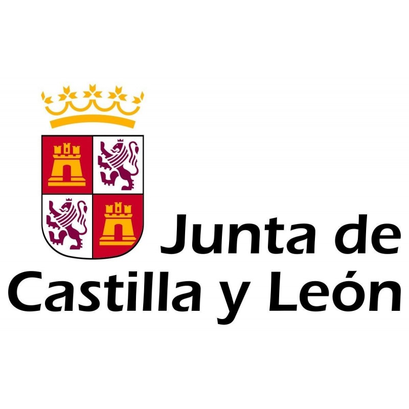 Temario Técnicos de Soporte Informático. Junta de Castilla y León