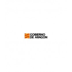 Temario Ejecutivos de Informática. Gobierno de Aragón