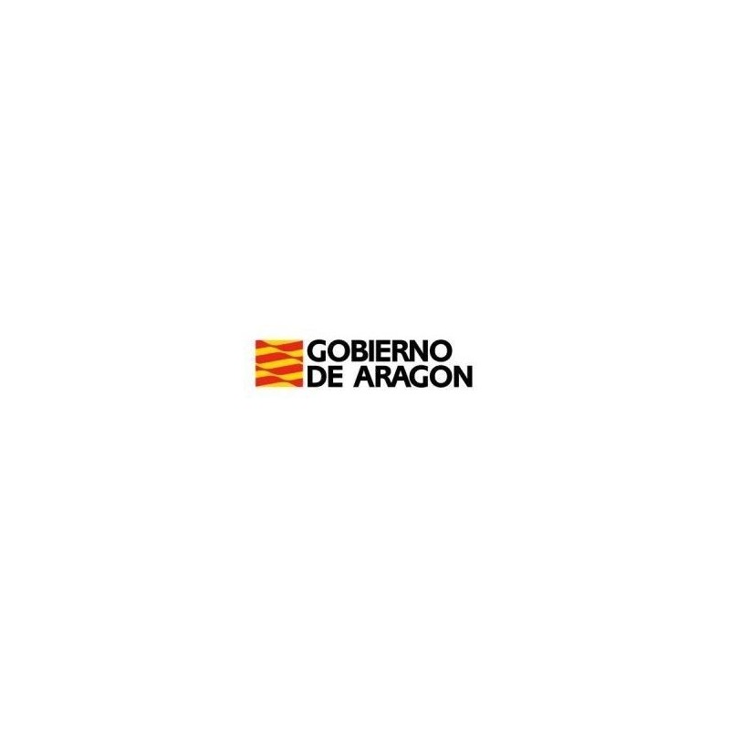 Temario Ejecutivos de Informática. Gobierno de Aragón