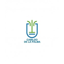 Temario Técnico Informática Programador. Cabildo de La Palma