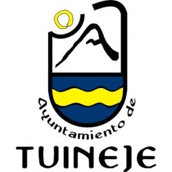 Temario Ingeniero Técnico Industrial. Ayuntamiento de Tuineje