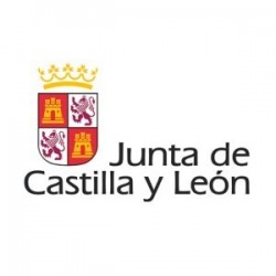 Temario Arqueólogos. Junta de Castilla y León