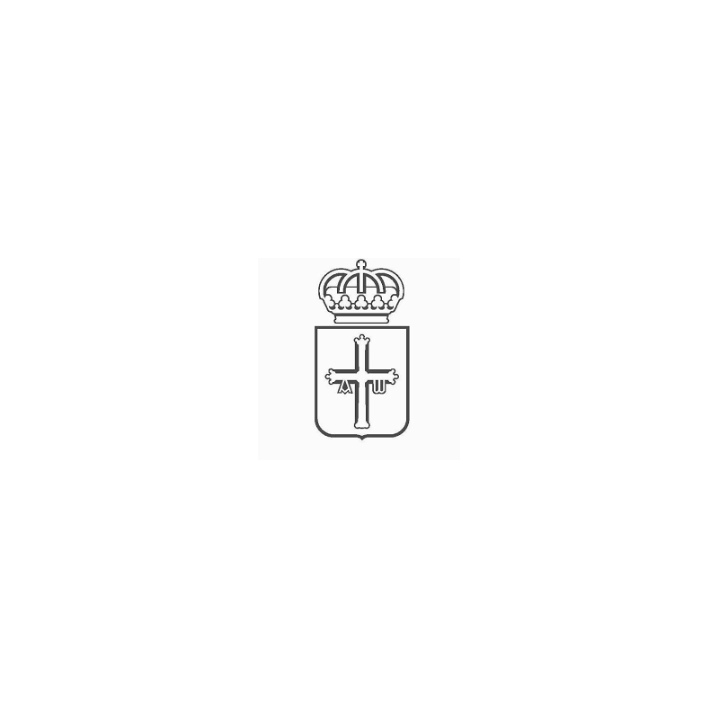 Temario Auxiliar Administrativo. Principado de Asturias